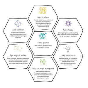 A holistic model for agility_Feature