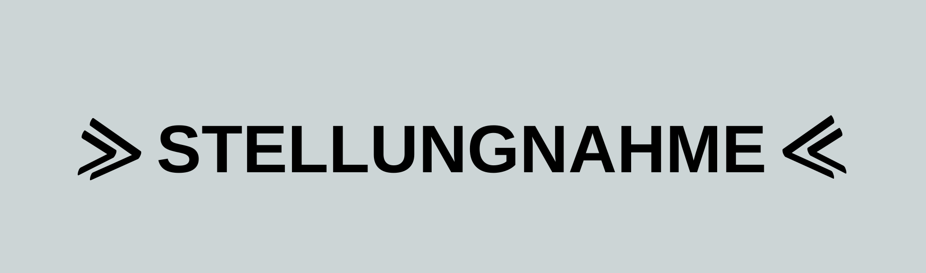 Stellungnahme
