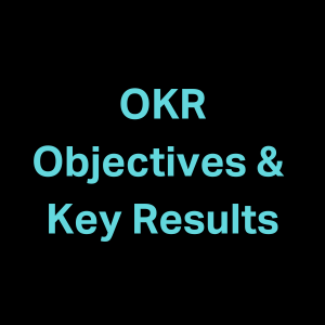 OKR Insight