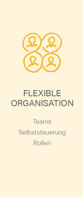 insight_agilereOrganisation_flexibleOrganisation