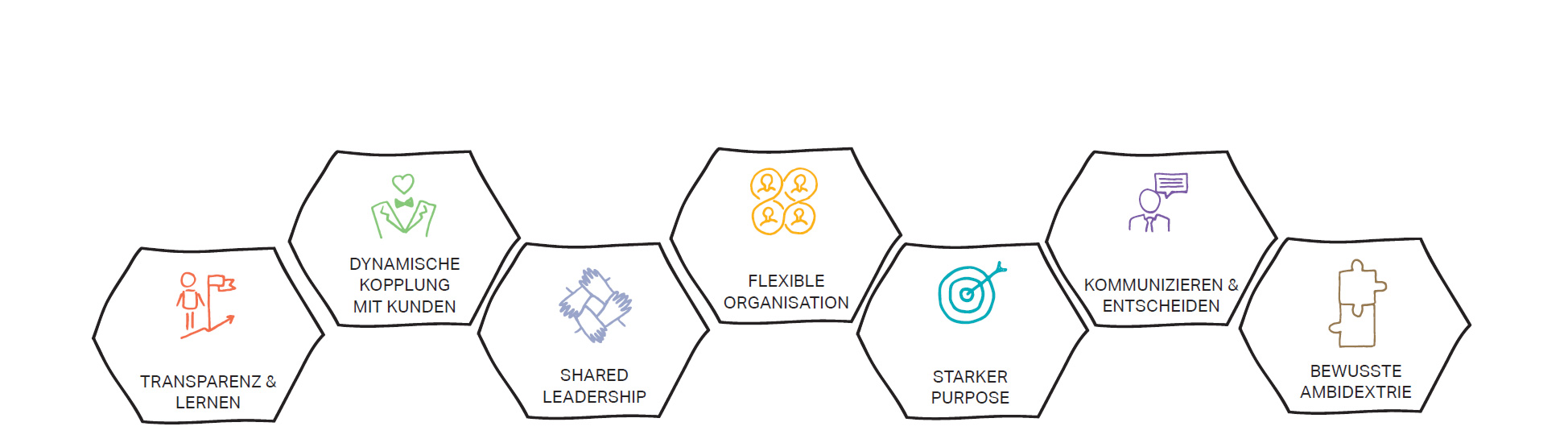 insight_agilereOrganisation_header