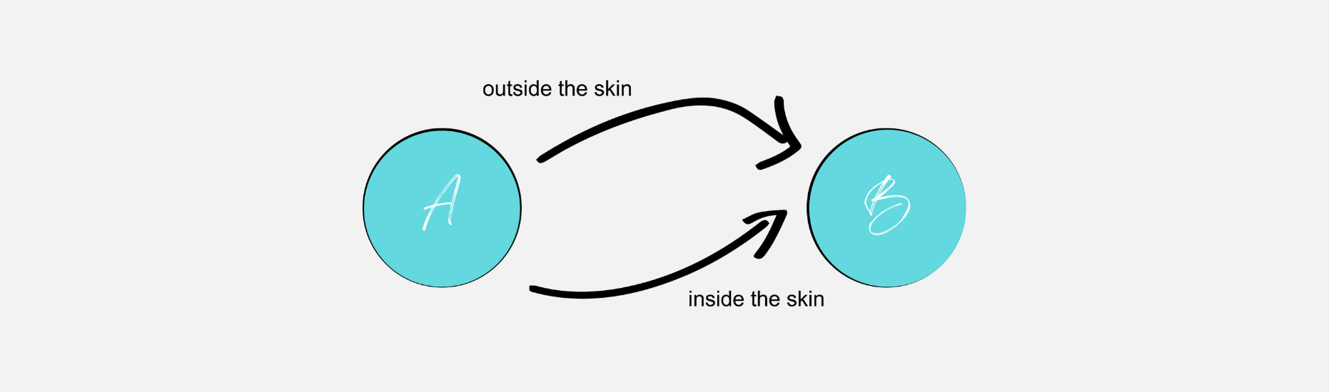 inside outside the skin